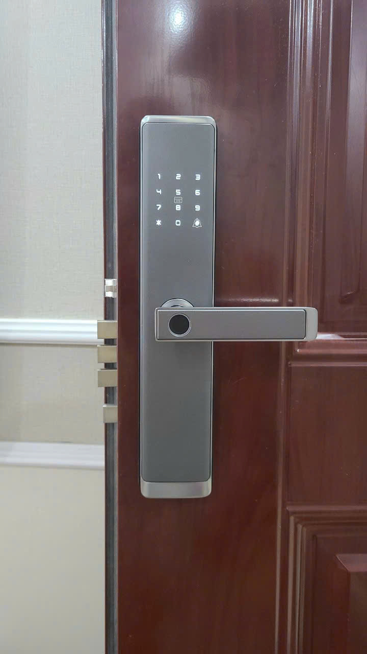 Khóa vân tay cửa gỗ HTS-Q5-W5B24 – An toàn, tiện nghi, công nghệ hiện đại